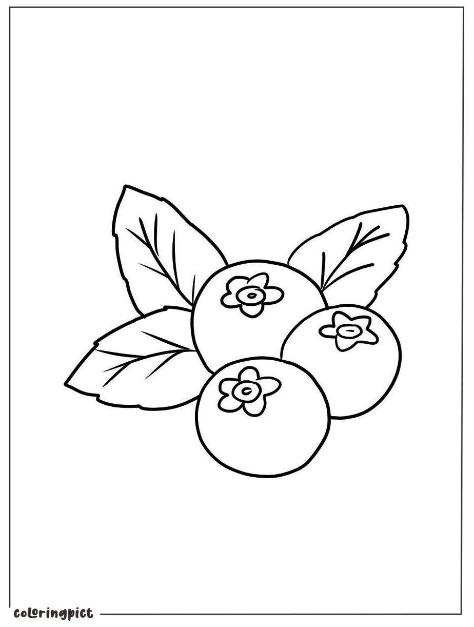 easy blueberry coloring image