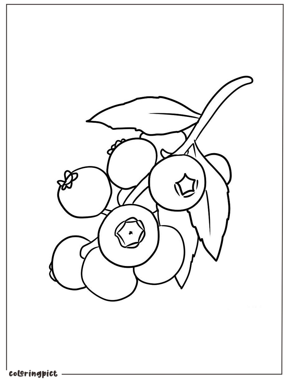 easy blueberry coloring page