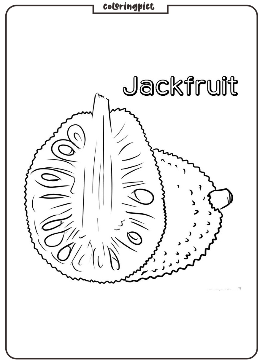 Big and Delicious Tropical Fruits, Jackfruit Coloring Page 1 easy jackfruit coloring image