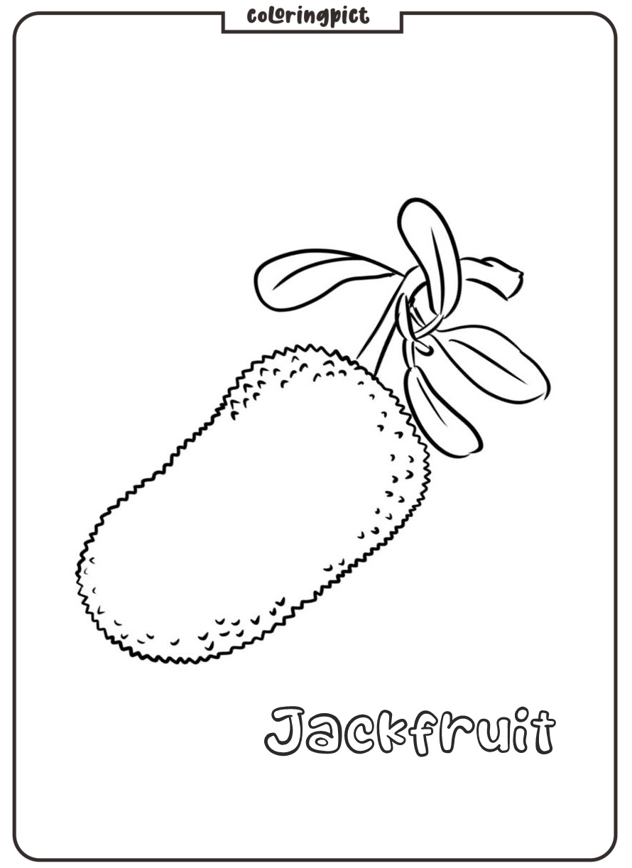 Big and Delicious Tropical Fruits, Jackfruit Coloring Page 2 easy jackfruit coloring pages free