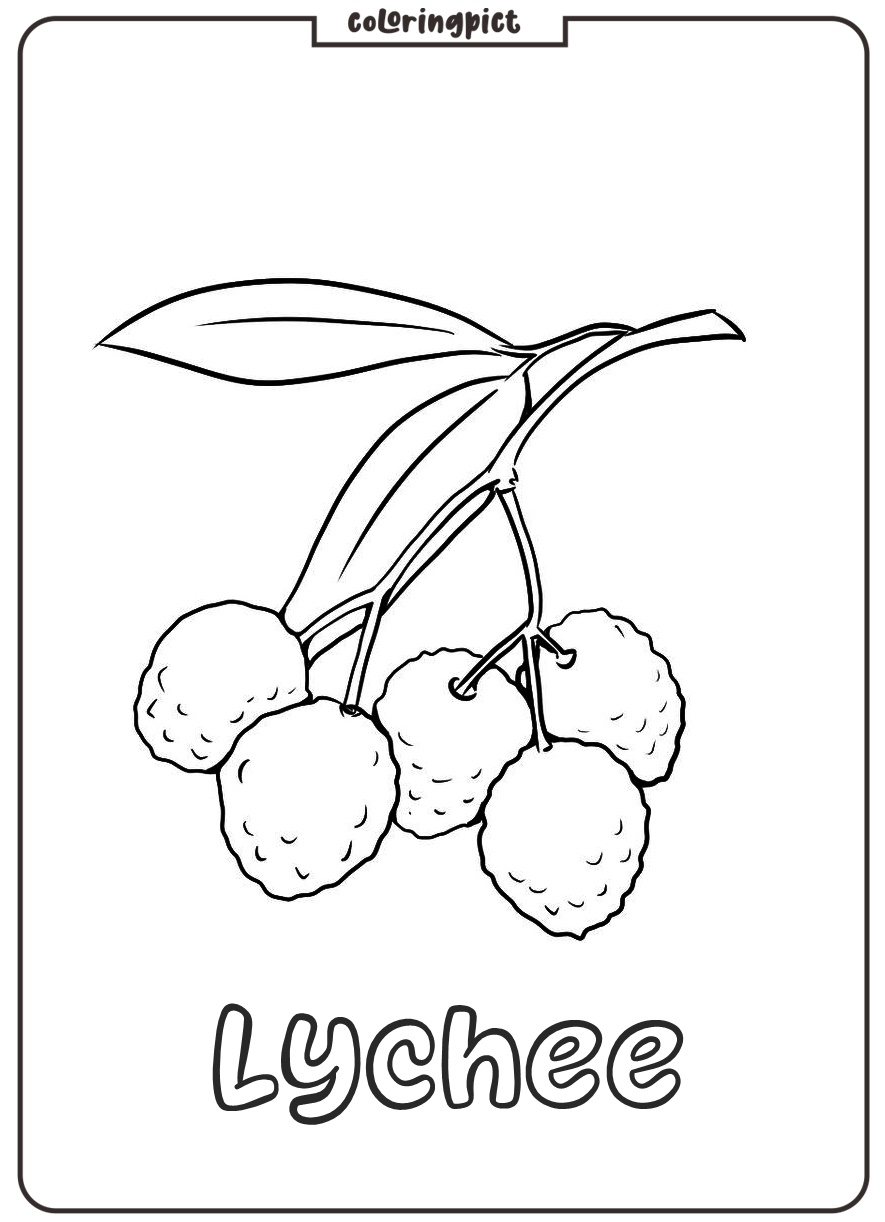 Delicious Sweet Fruit, Lychee Coloring Page 2 easy lychee coloring page download free