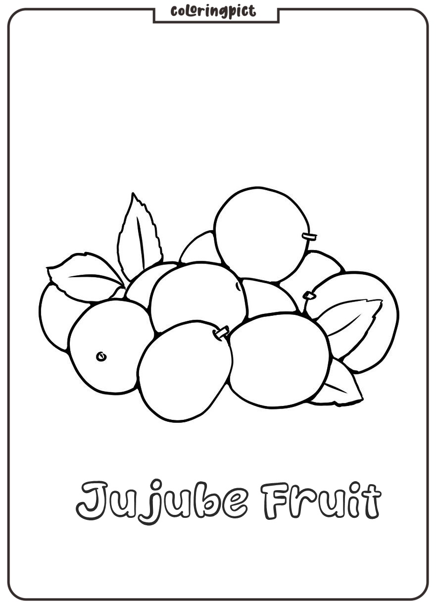 free jujube coloring page printable