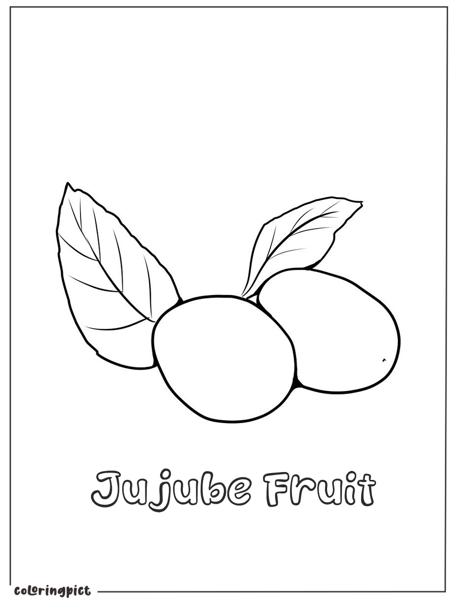 free jujube coloring picture printable