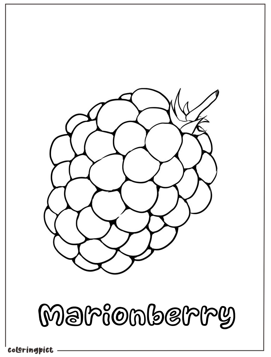 free marionberries coloring pict print