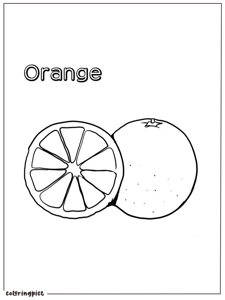 free orange coloring