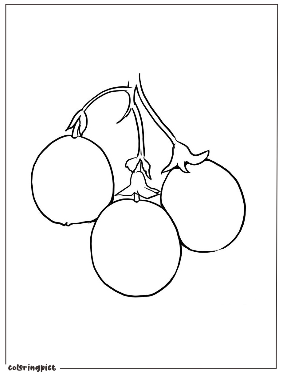 Sweet and Sour Passion Fruit Coloring Page 3 free passion fruit coloring sheet pdf