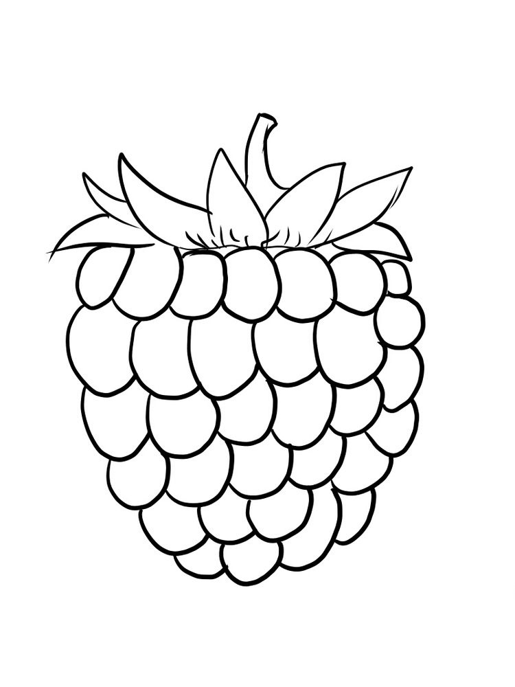 Delicious Red Fruit, Raspberry Coloring Page 2 free raspberry coloring picture