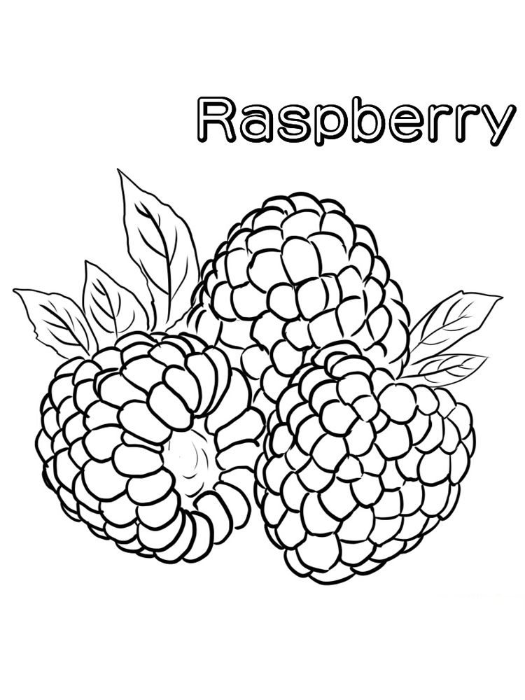 Delicious Red Fruit, Raspberry Coloring Page 3 free raspberry coloring
