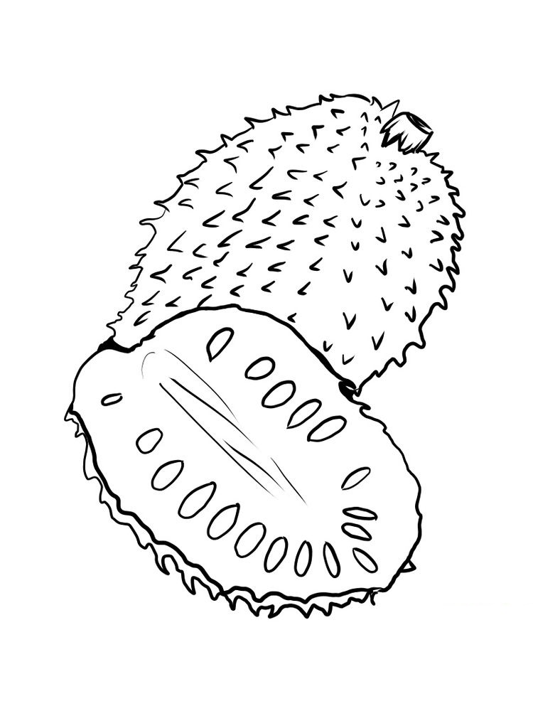 free soursop coloring pages printable