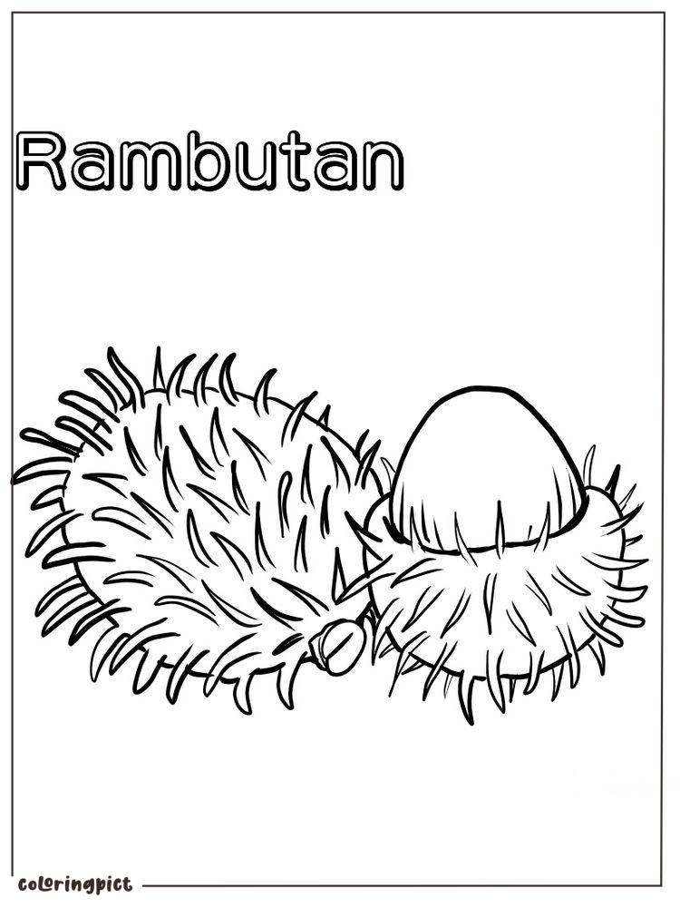 fruits rambutan coloring