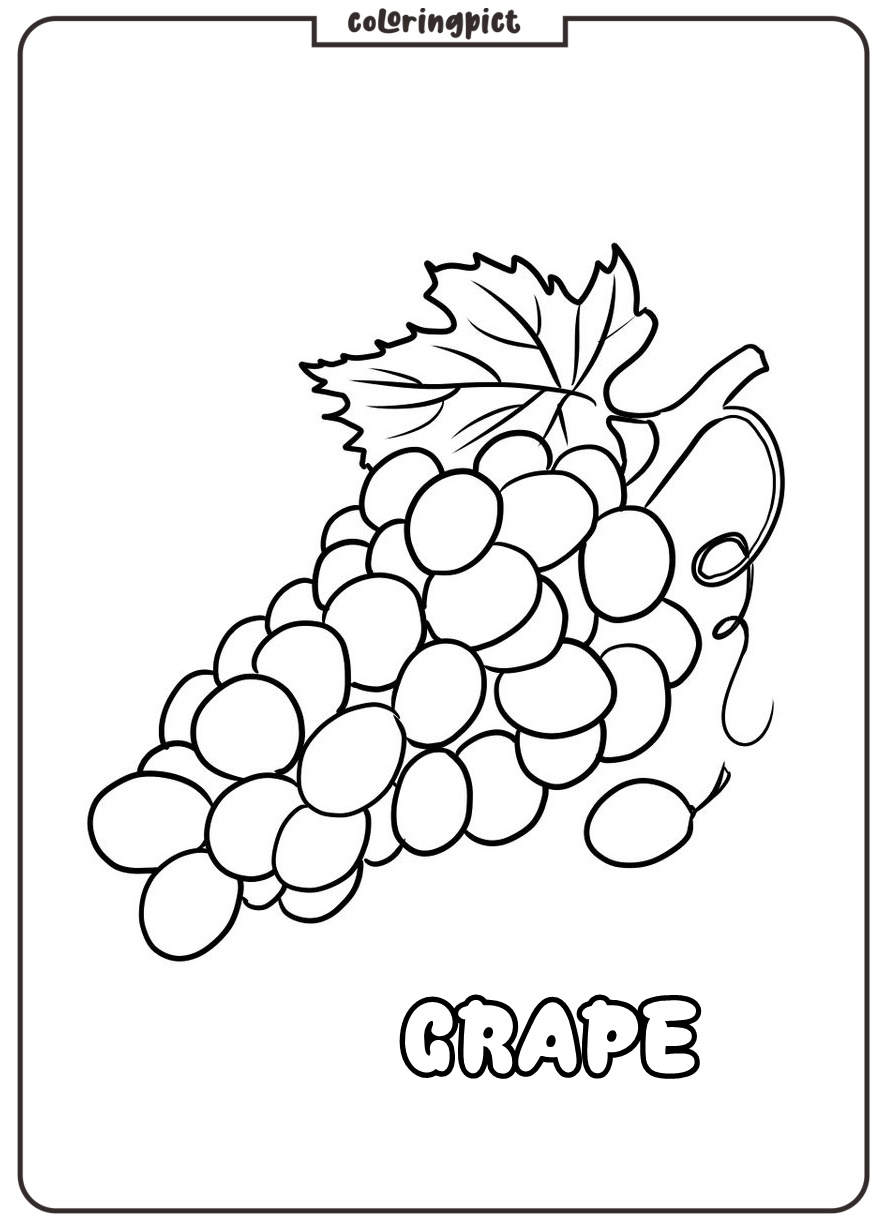 Fresh and Delicious Fruit, Grape Coloring Page 5 grape coloring images print free