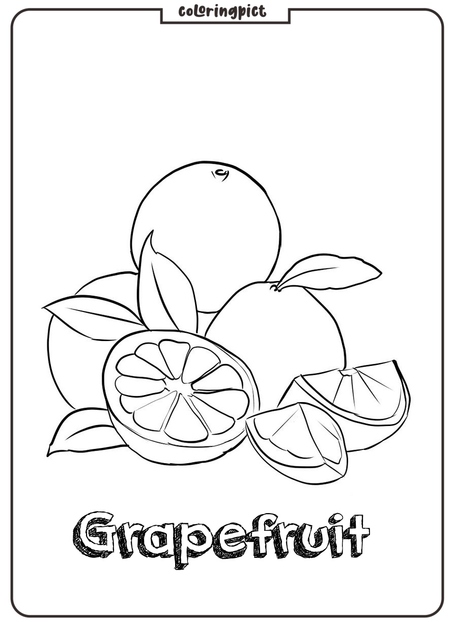 grapefruit coloring images free download