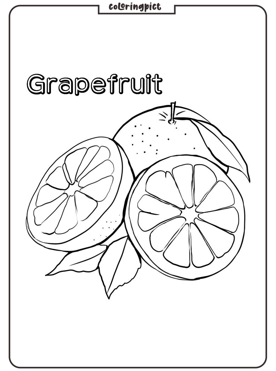 grapefruit coloring images