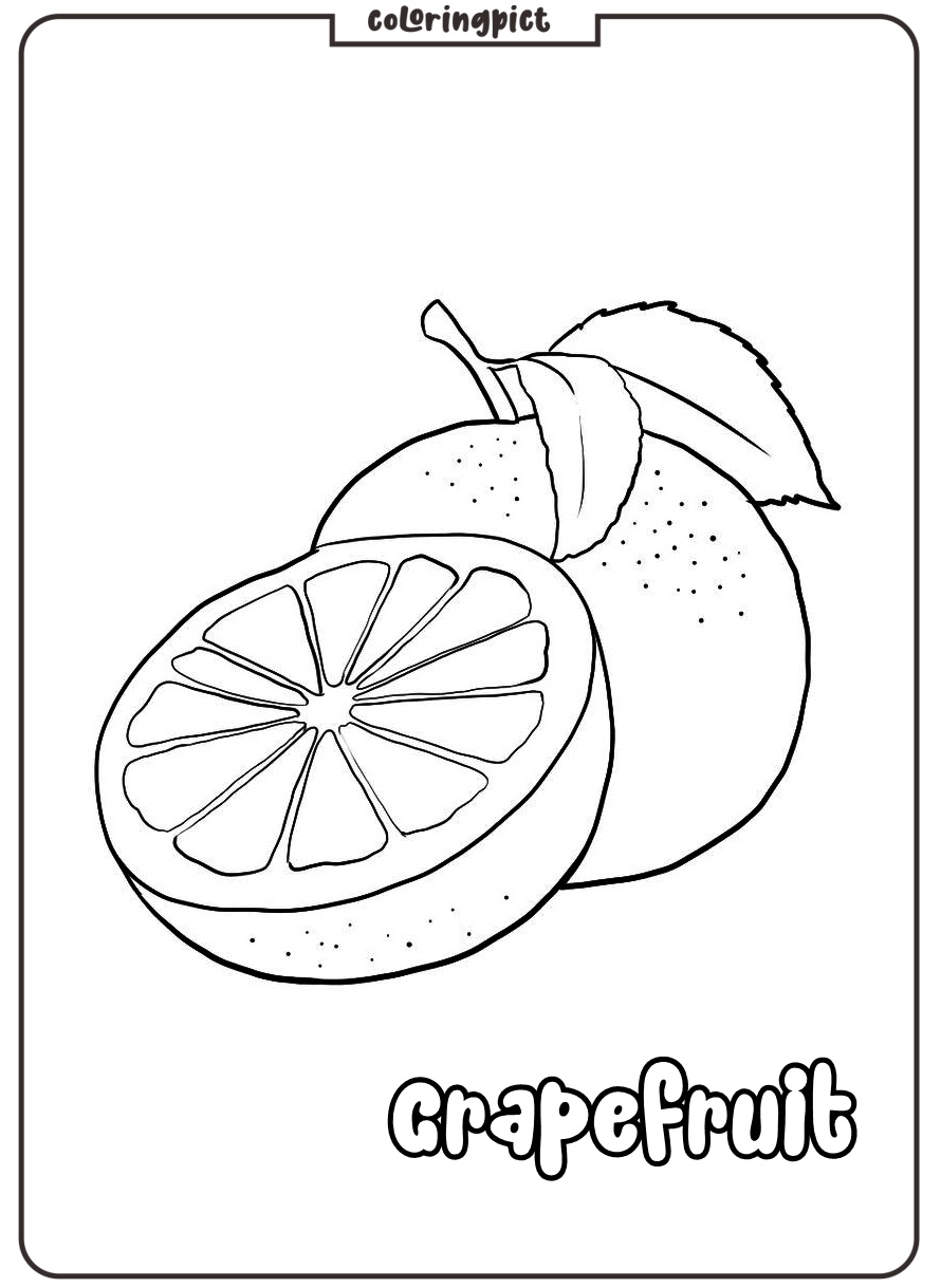 grapefruit images for coloring