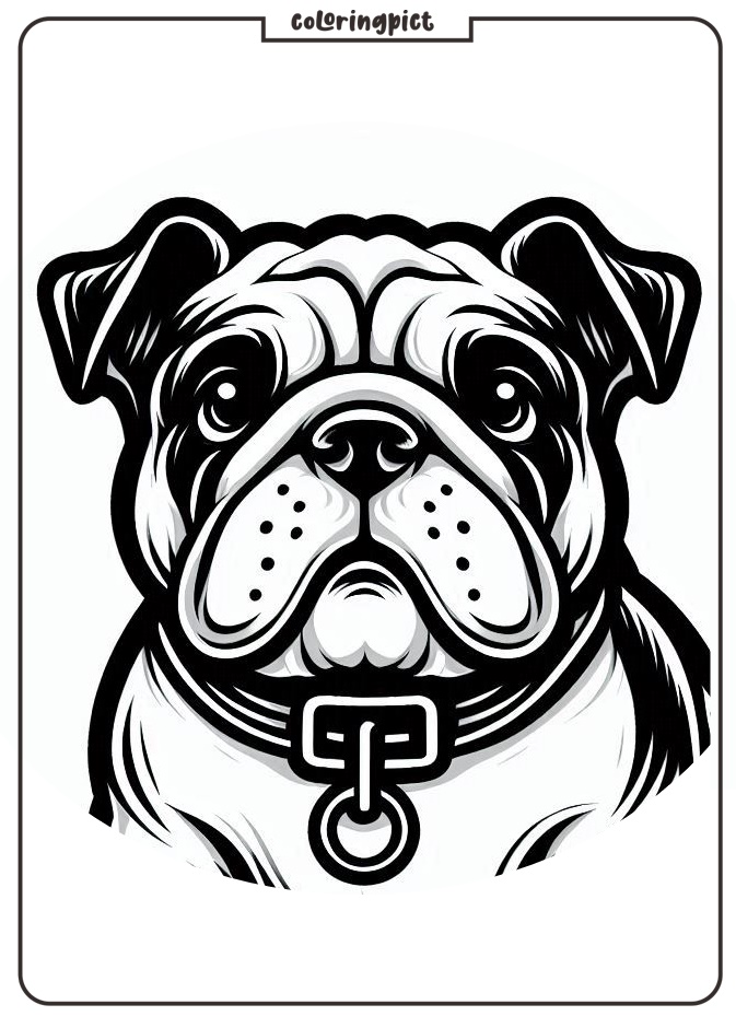 Get Ready to Color a Lovable Bulldog Face Coloring Pages 5 happy bulldog coloring page for kids