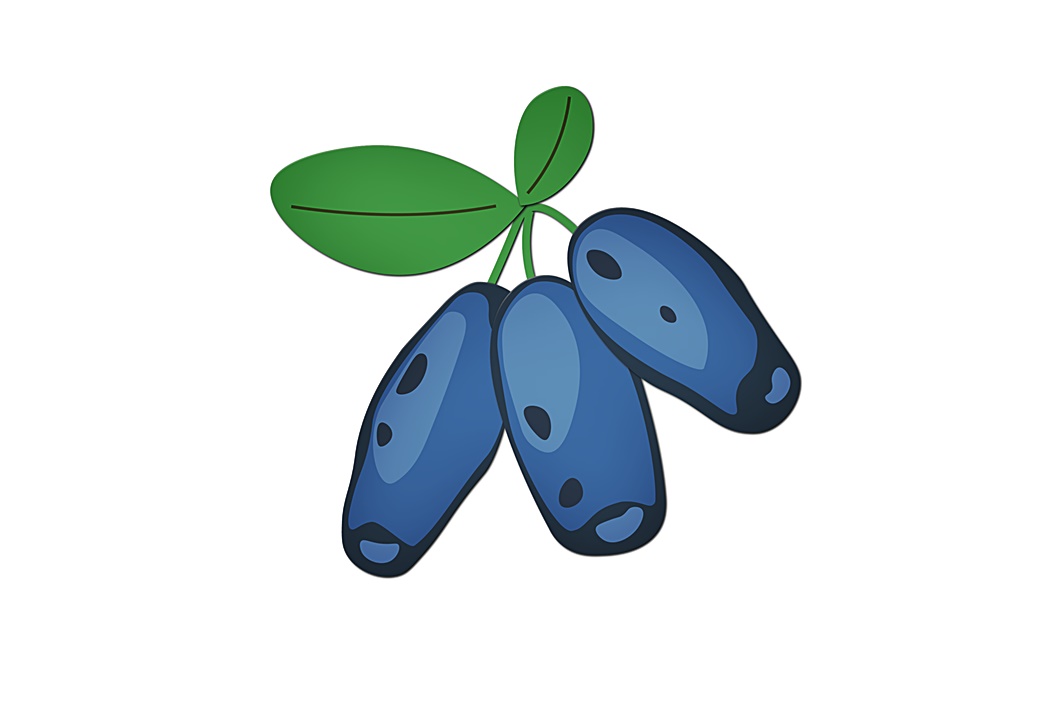 Unique and Delicious Fruits, Honeyberry Coloring Pages 5 honeyberry coloring images