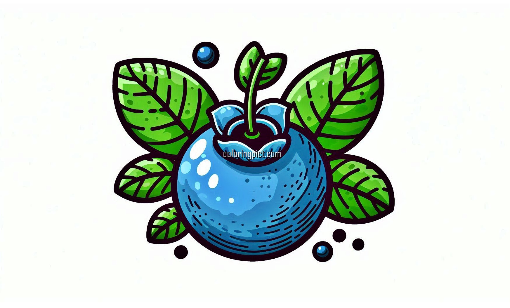 image is blueberry coloring