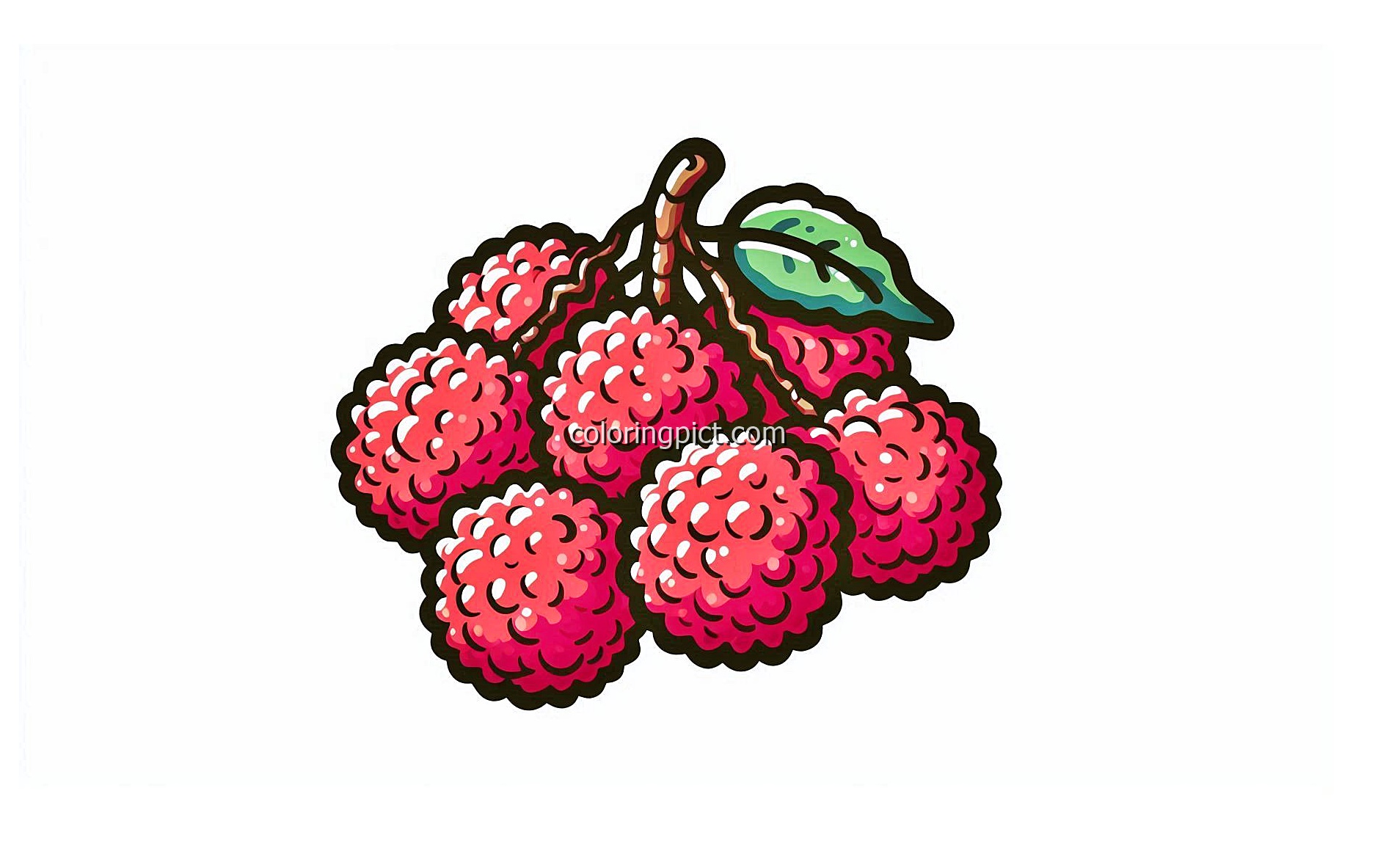 Delicious Sweet Fruit, Lychee Coloring Page 6 image is lychee coloring