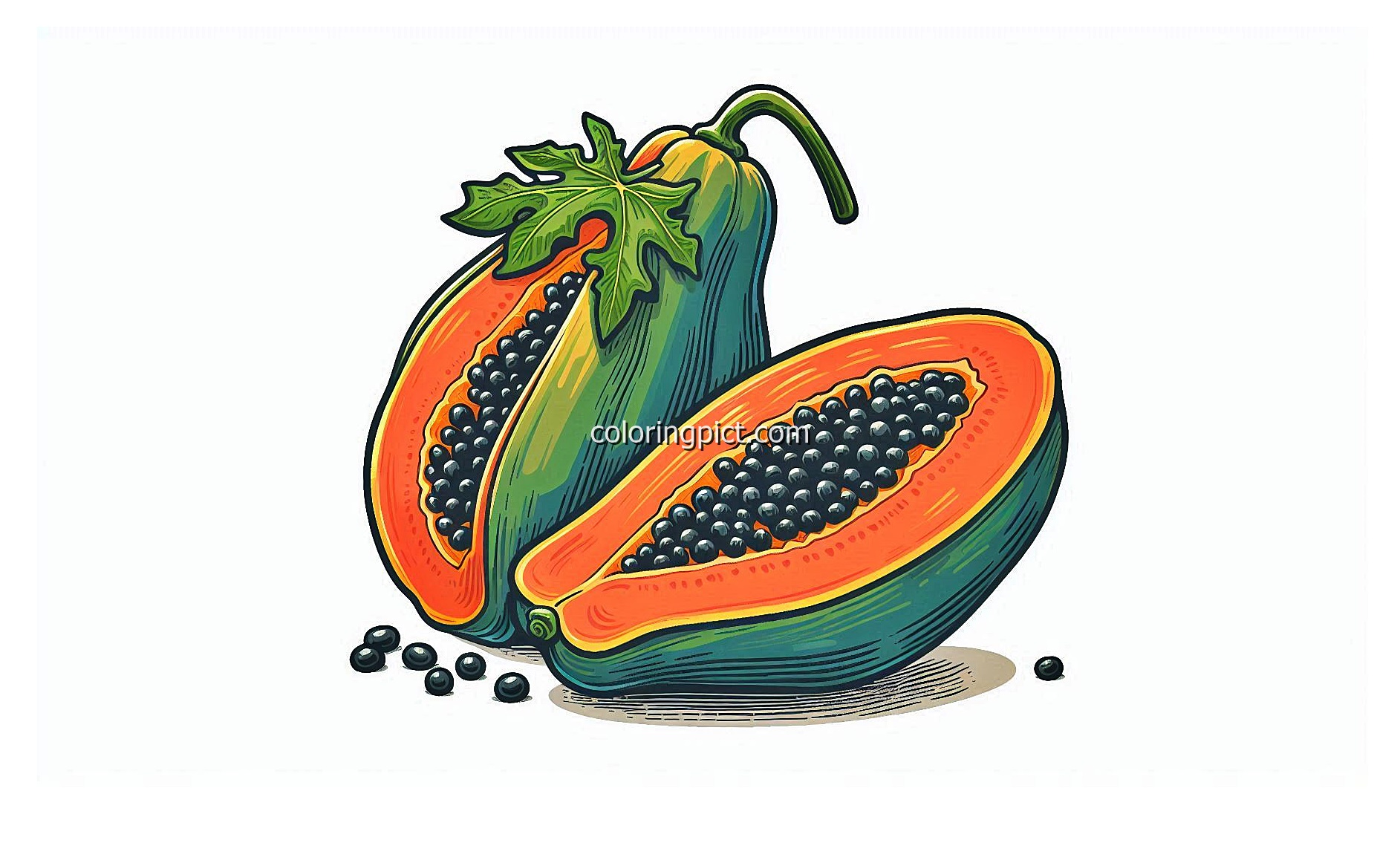 Tropical and Nutritious Papaya Fruit Coloring Page 3 image is papaya coloring