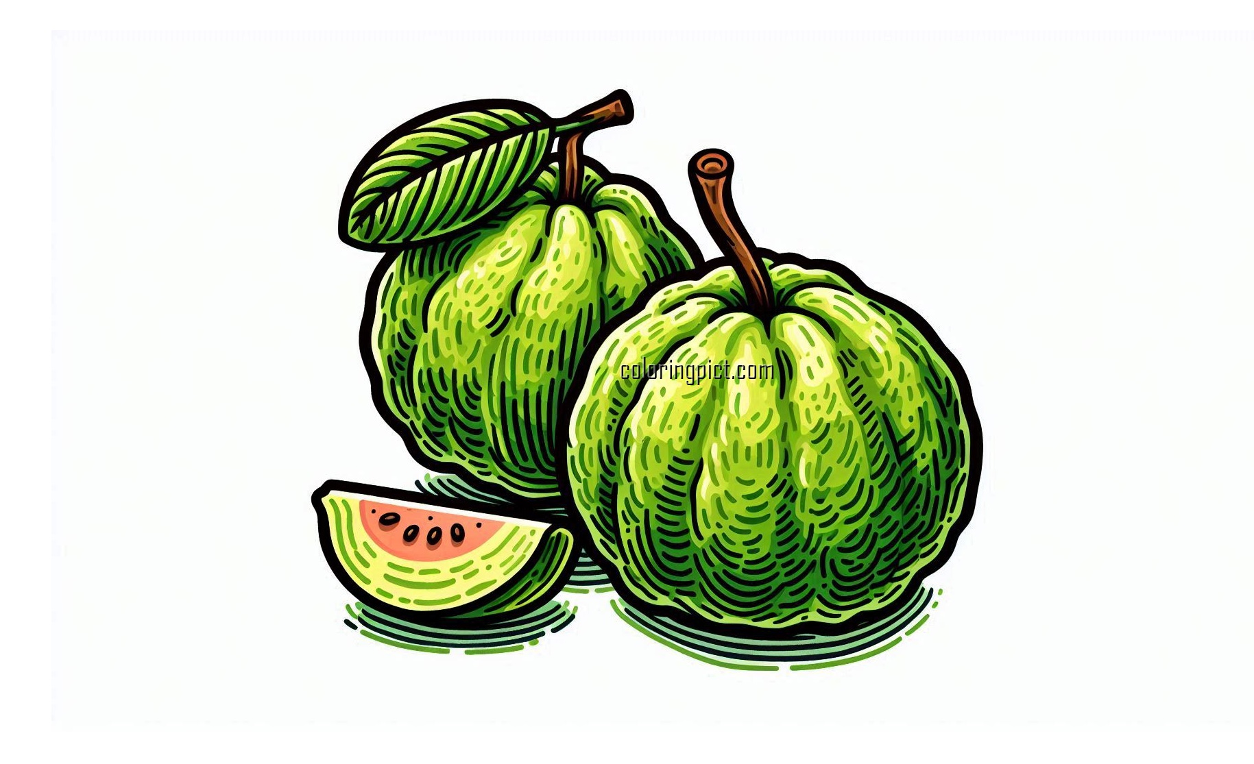 image of guava fruit coloring