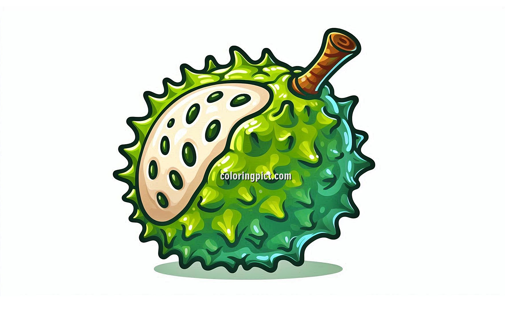 image of soursop coloring