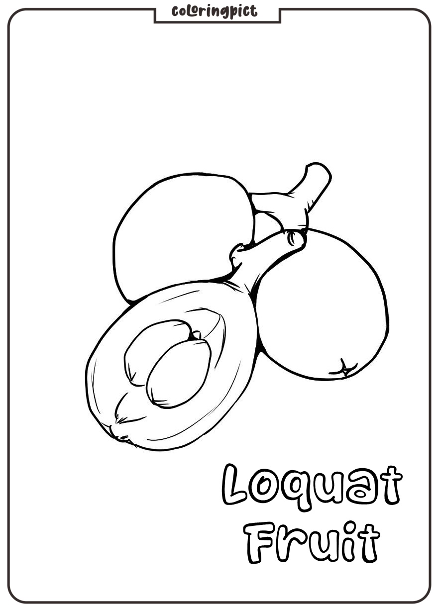 loquat images free download Printable