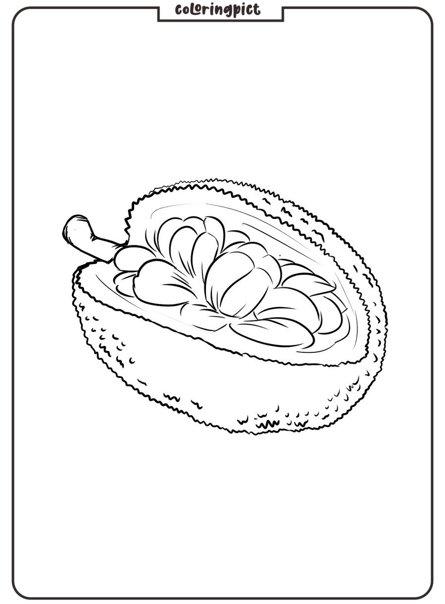 Big and Delicious Tropical Fruits, Jackfruit Coloring Page 3 new print jackfruit coloring picture