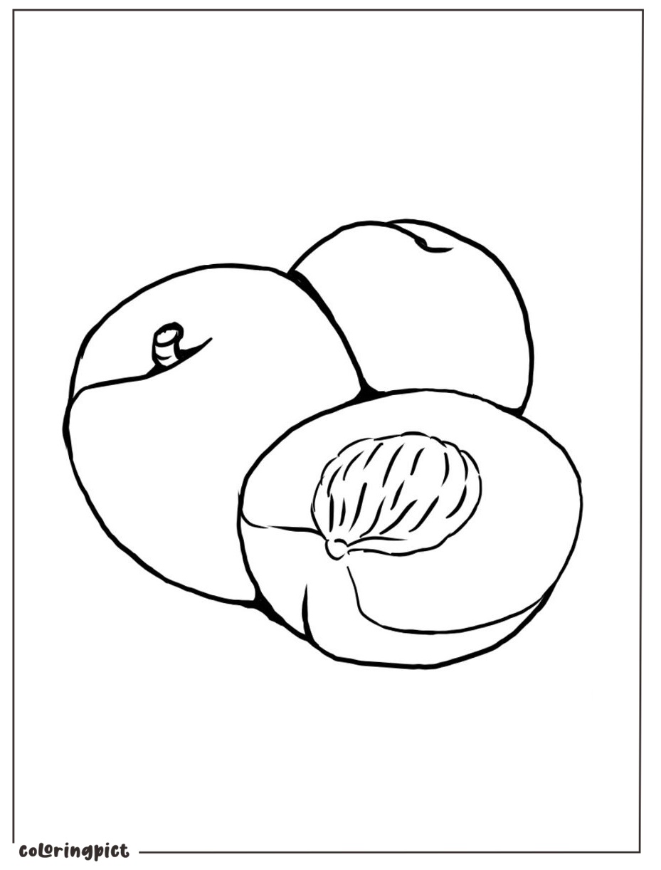 Bring the Sweetness of Peaches to Life with Color 3 peach coloring image print free