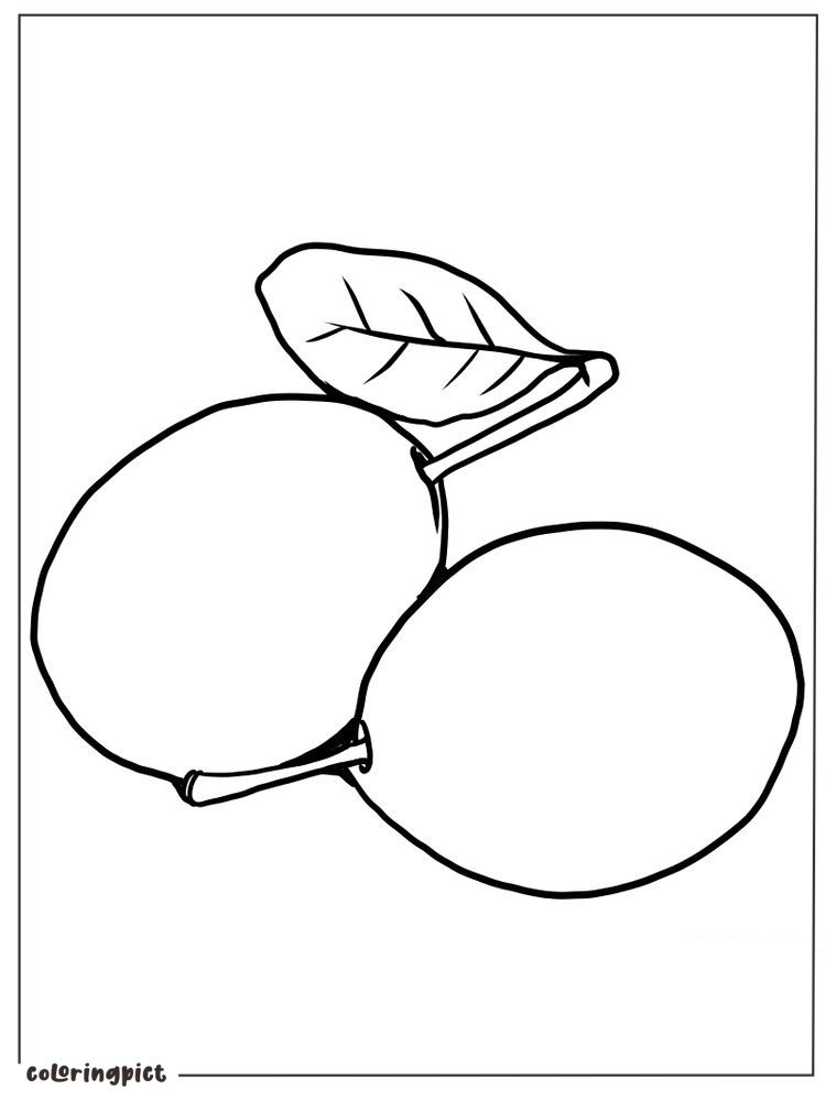 Fresh Plum Fruit Coloring Page 1 plum coloring image pdf