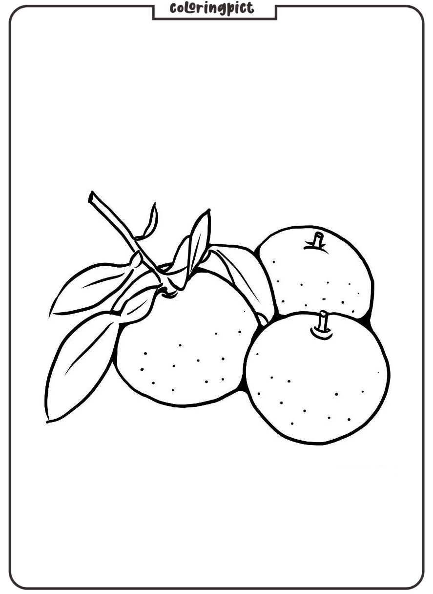 Yuzu Fruit Coloring Page 2 printable Free Yuzu Coloring Page