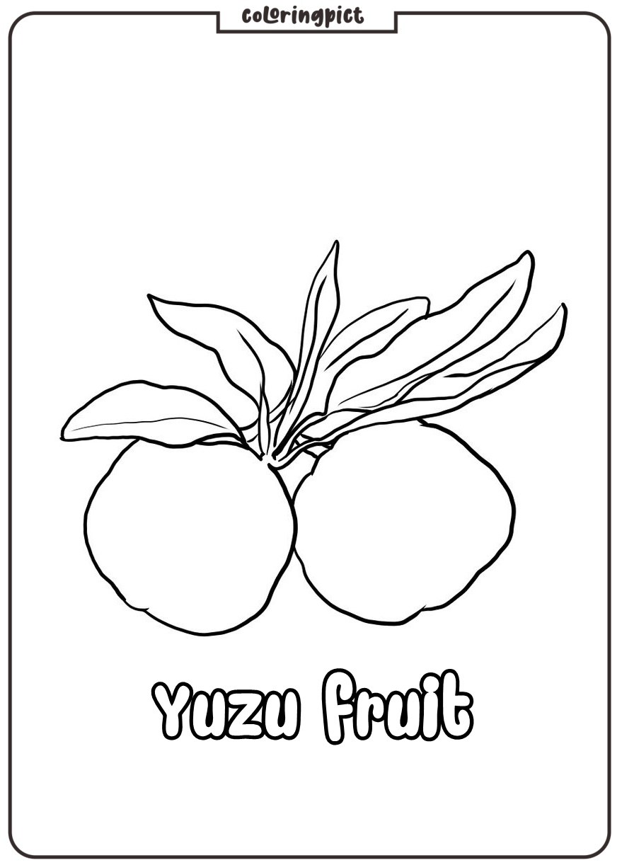 Yuzu Fruit Coloring Page 3 printable New Yuzu Coloring Pages