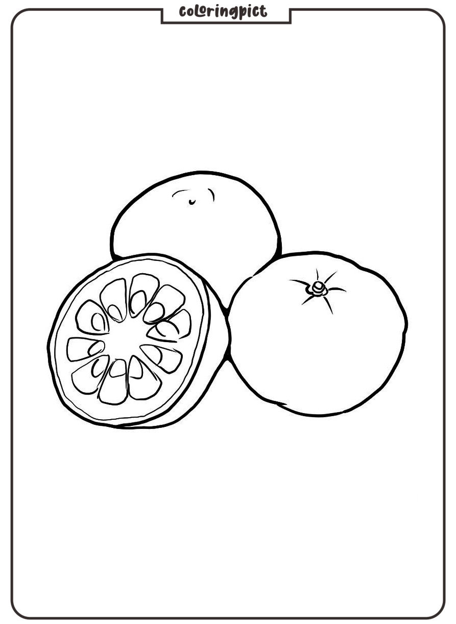 Yuzu Fruit Coloring Page 4 printable Yuzu Coloring Pages
