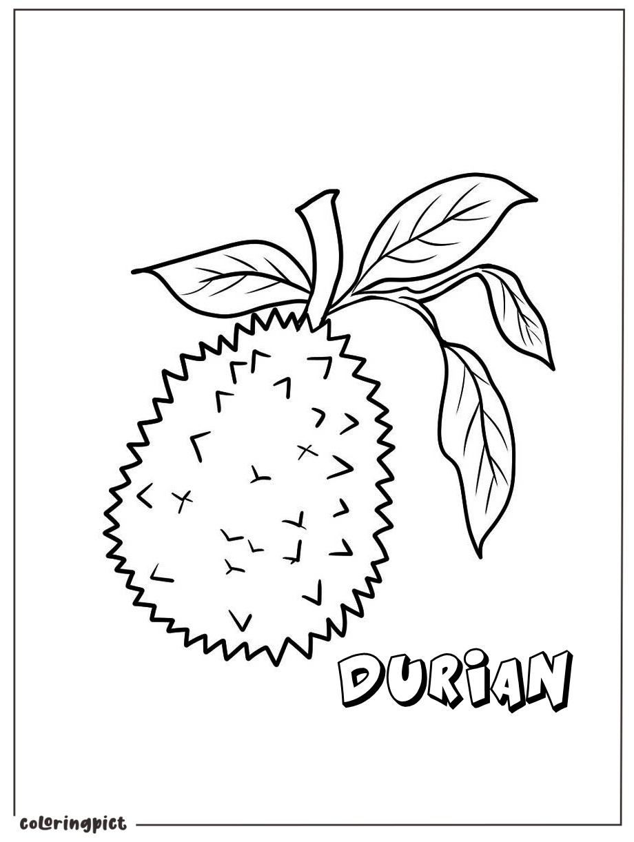 printable durian coloring sheet