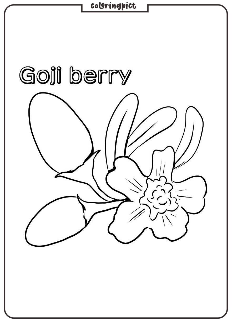Gojiberry Coloring Page 4 printable goji berry coloring images print