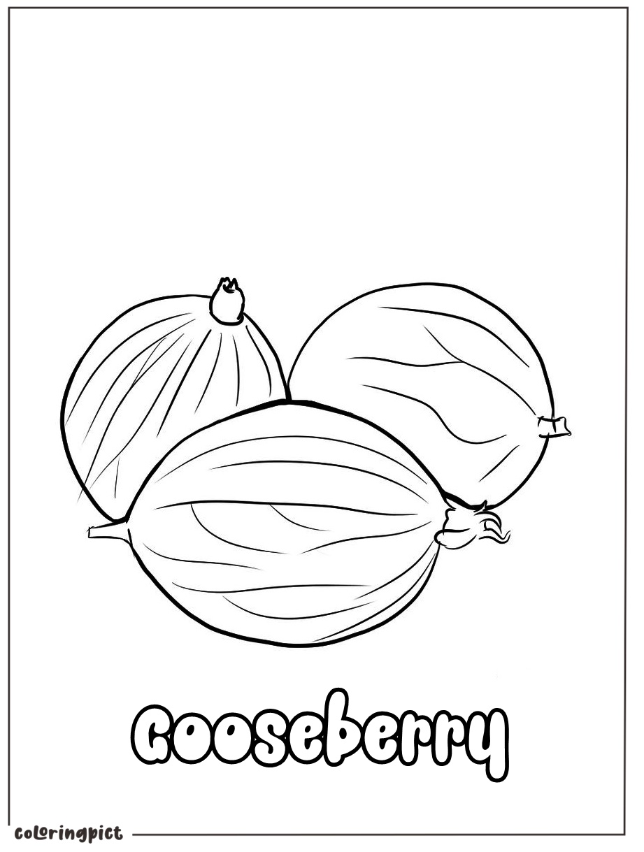 Gooseberry Coloring Page 2 printable gooseberry coloring page download