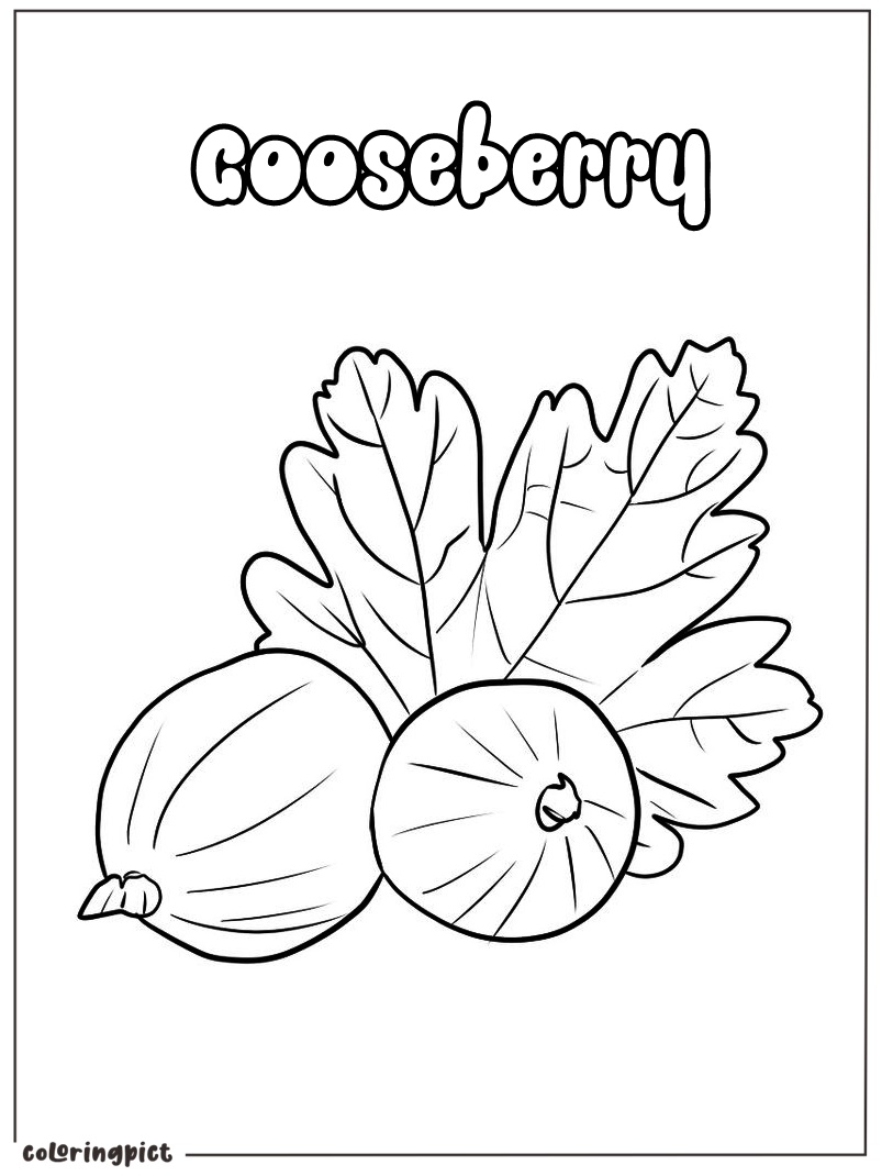 Gooseberry Coloring Page 6 printable gooseberry coloring page for kids