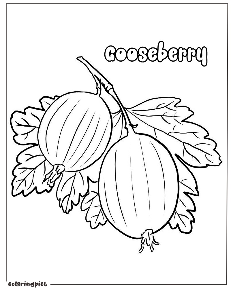 Gooseberry Coloring Page 3 printable gooseberry coloring sheet download