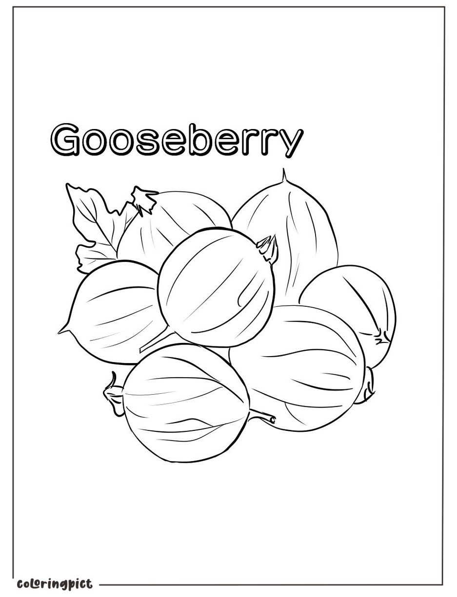 Gooseberry Coloring Page 4 printable gooseberry coloring