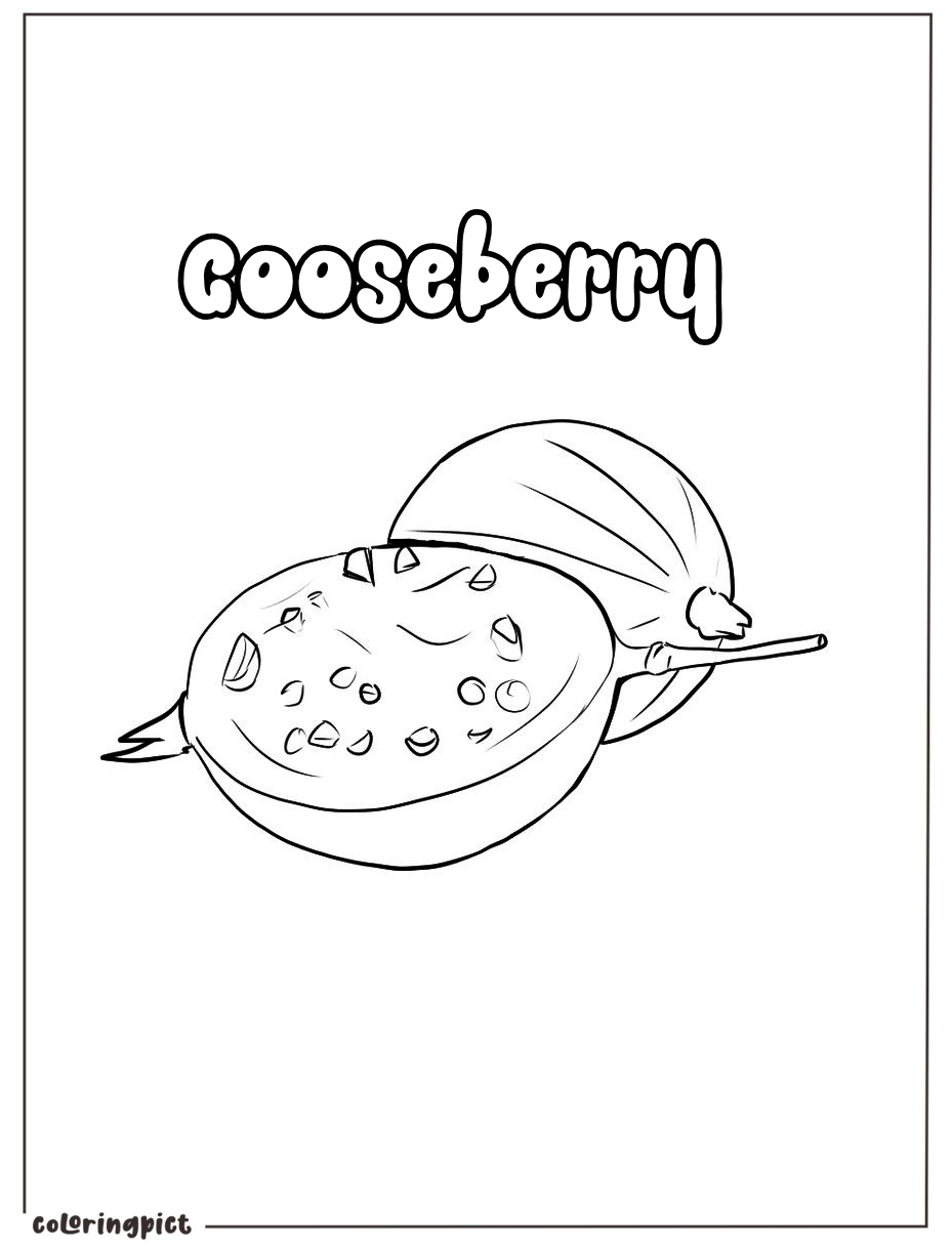 Gooseberry Coloring Page 5 printable gooseberry picture for coloring pictures