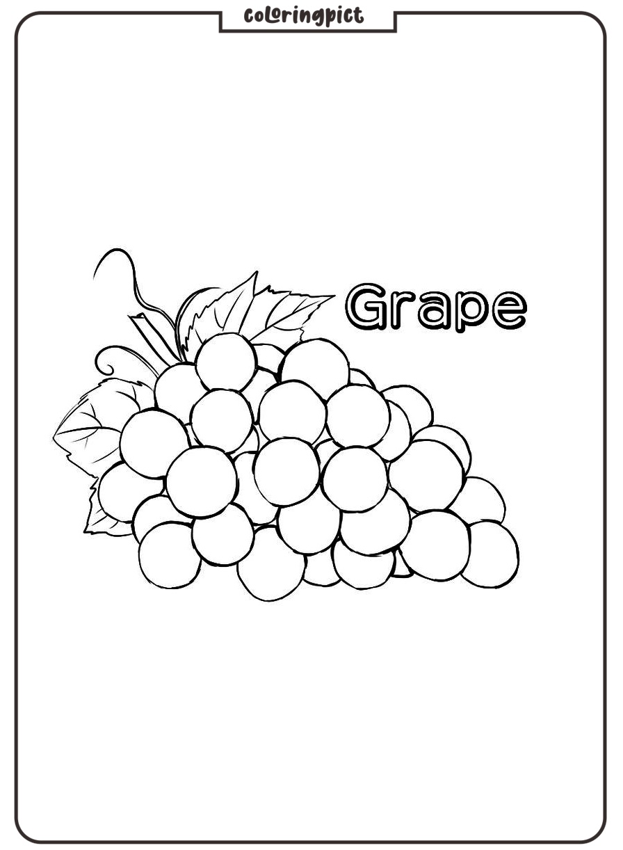 Fresh and Delicious Fruit, Grape Coloring Page 7 printable grape coloring images