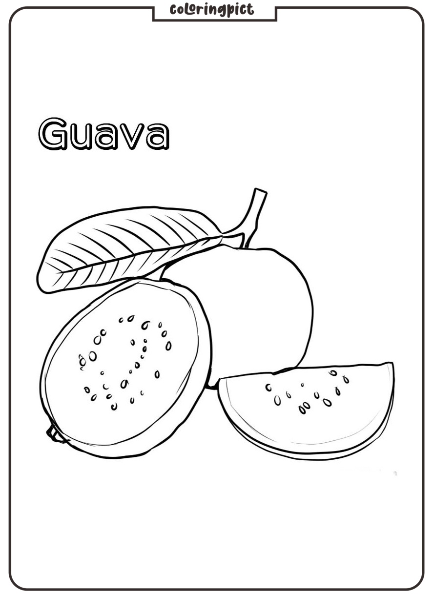 printable guava coloring page