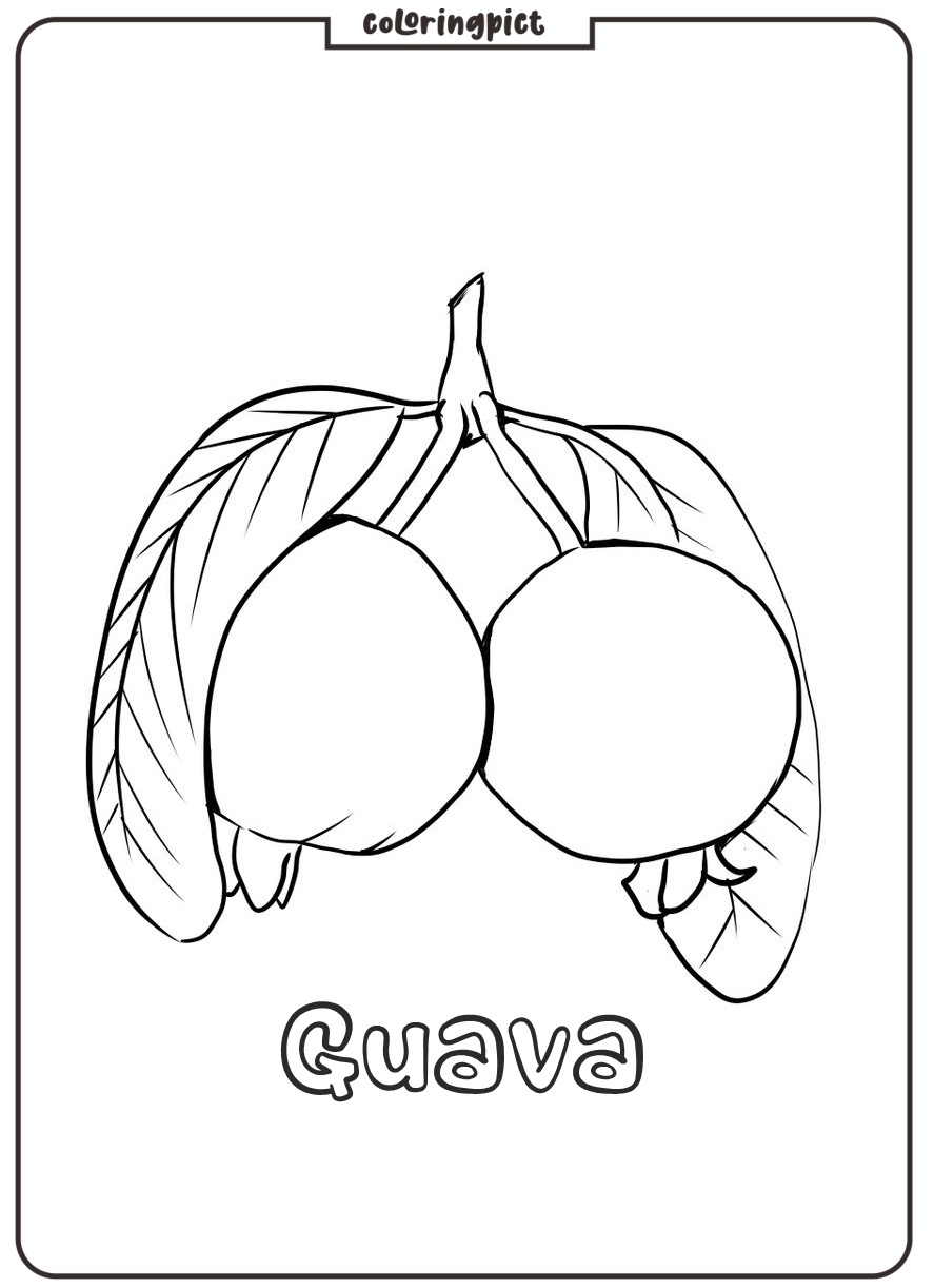 printable guava coloring sheet download