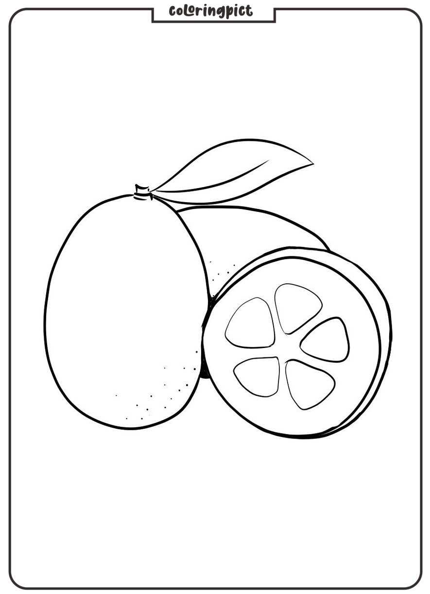 printable kumquat coloring page for kids