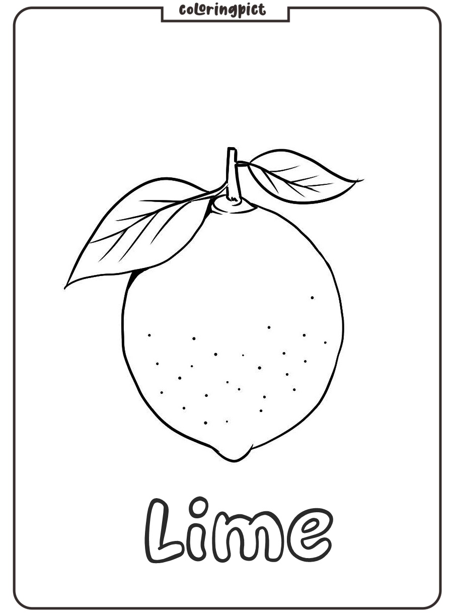 printable lime coloring picture pdf