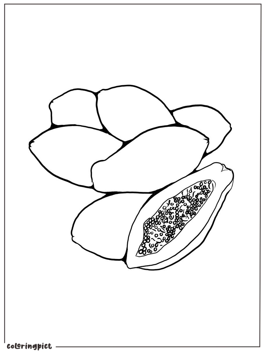 Tropical and Nutritious Papaya Fruit Coloring Page 4 printable papaya coloring images pdf