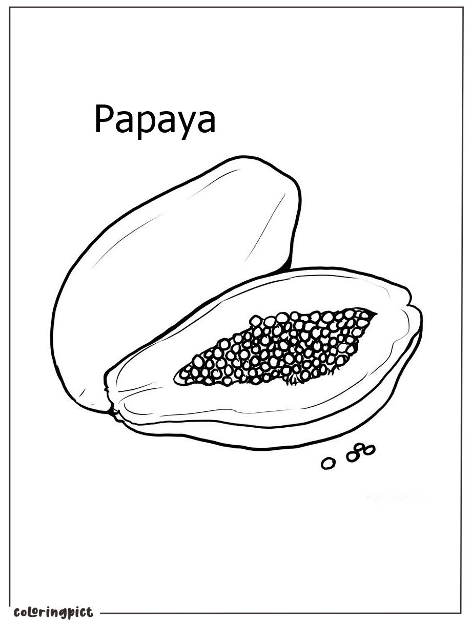 Tropical and Nutritious Papaya Fruit Coloring Page 6 printable papaya coloring