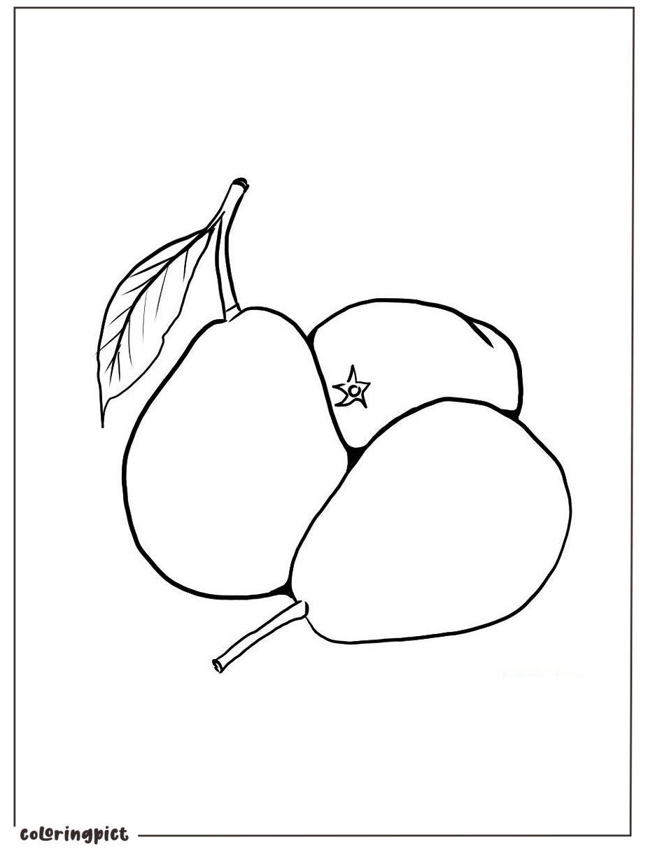 printable pear coloring image pdf