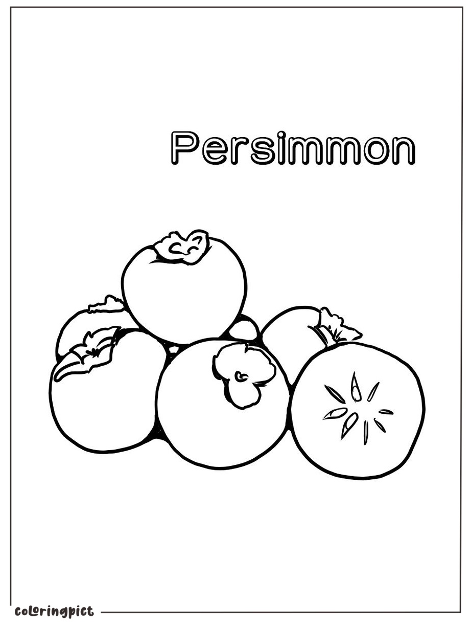 Delicious Fall Fruits, Persimmon Coloring Page 3 printable persimmon coloring page print