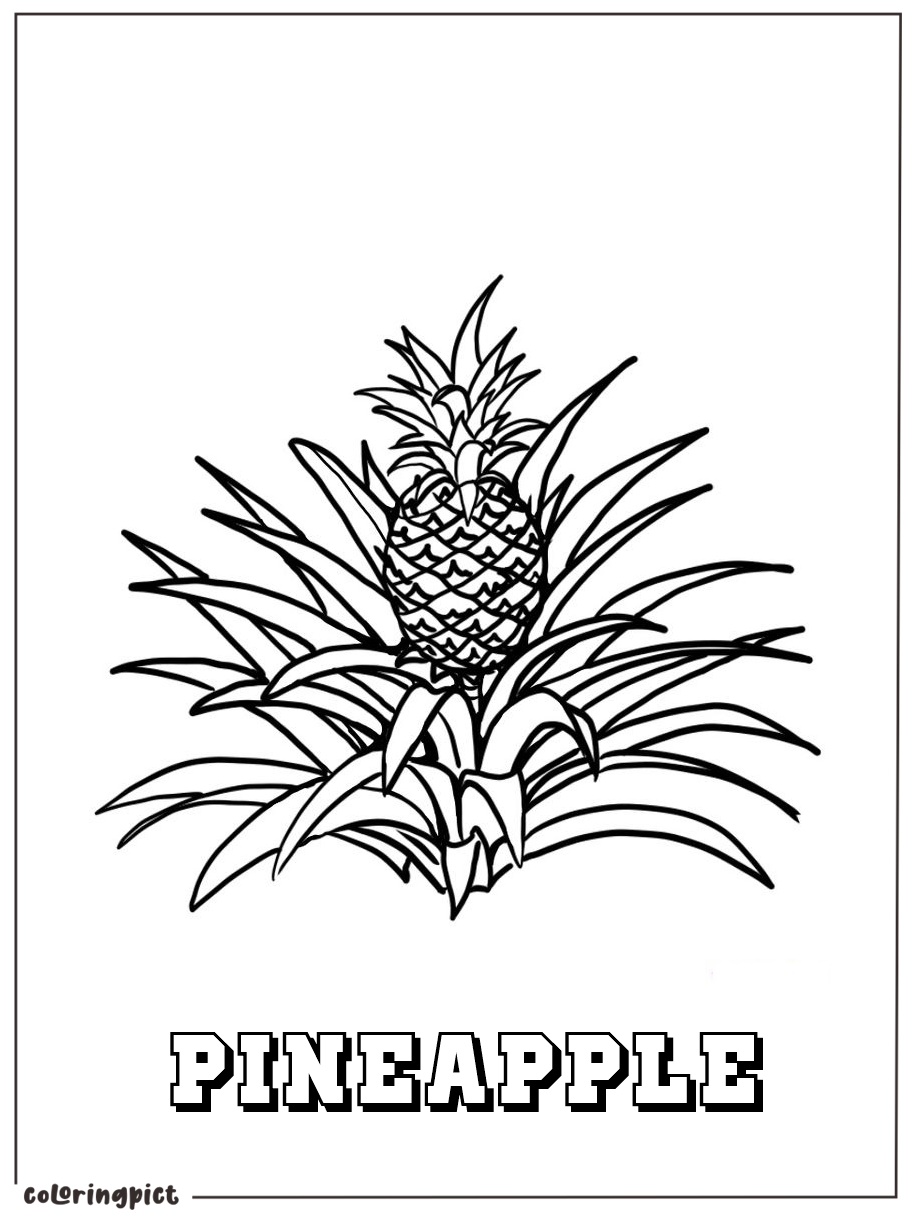 printable pineapple coloring image pdf