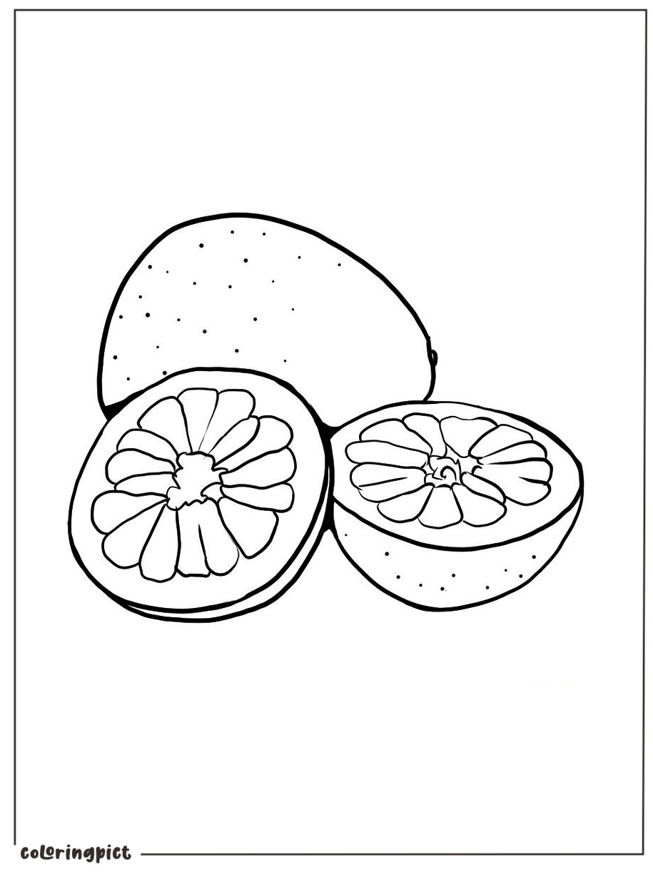printable pomelo coloring for kid